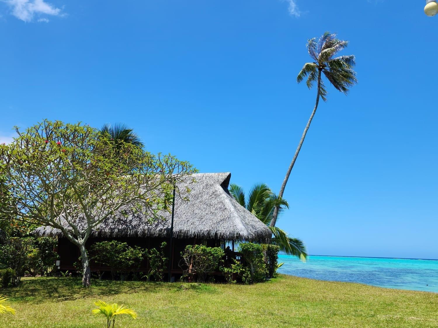 Hotel Hibiscus Papetoai Eksteriør bilde
